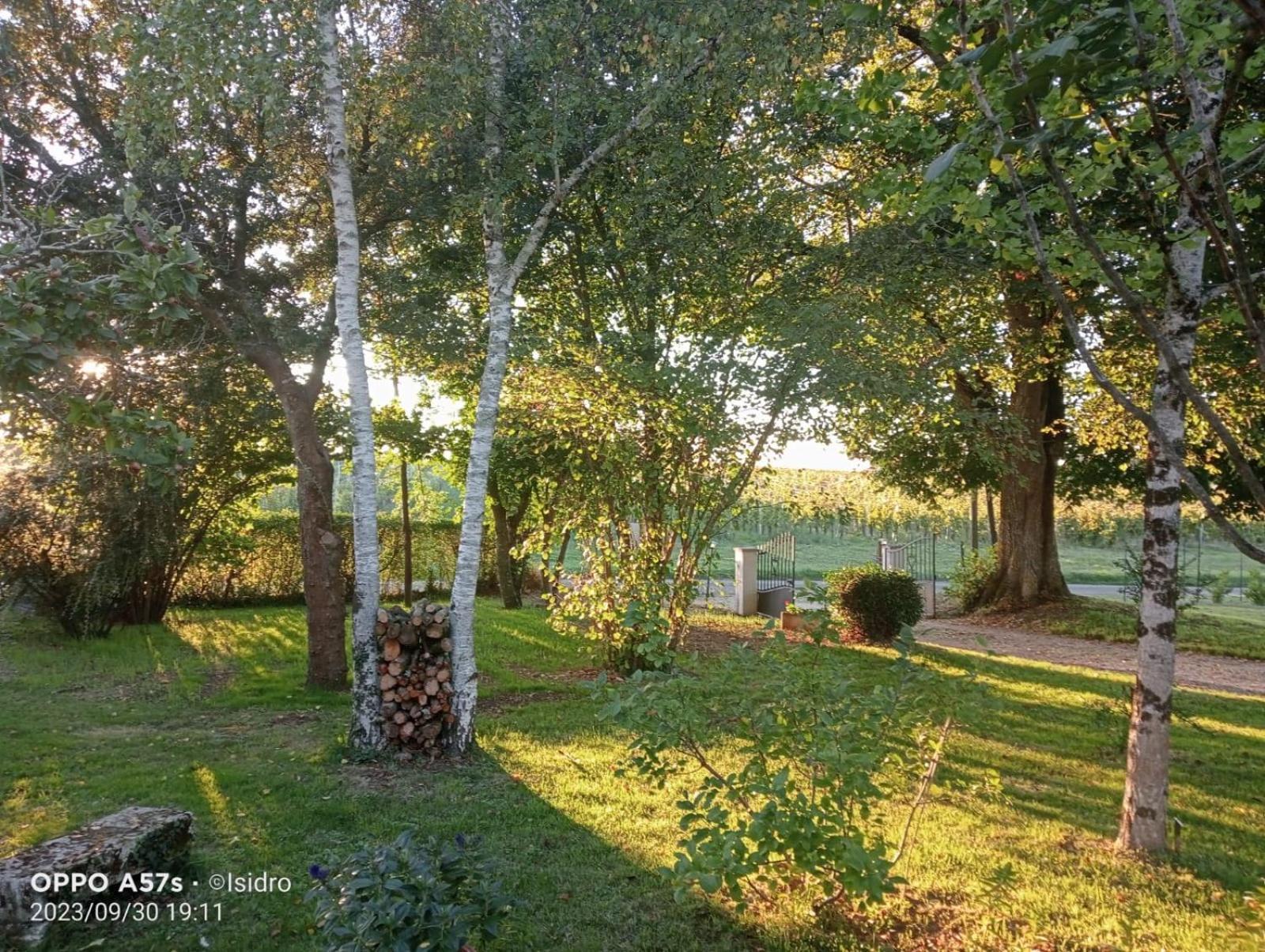 La Demeure D'Ezilda Villa Fleac-sur-Seugne Bagian luar foto